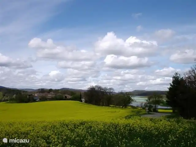 Koolzaad in bloei met op de achtergrond het Lac Montbel